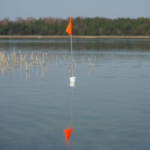 Märklipp Väinameri