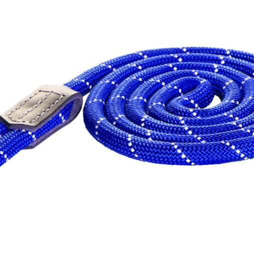 Jalutusrihm Rogz Rope Large 12mm 1.8m, sinine helkur