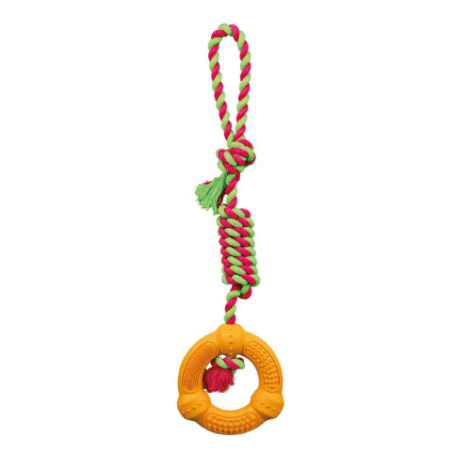 Mänguasi koertele DentaFun rõngas 12cm/41cm